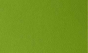 Próbka tapicerki ARIZONA GREEN